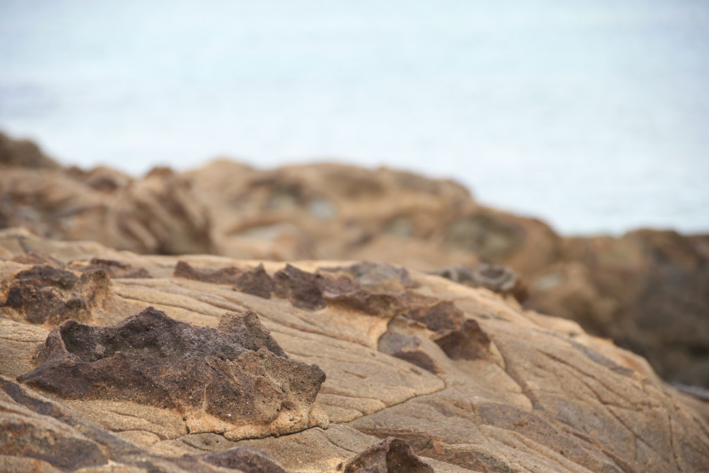 伊是名酒造　海岸